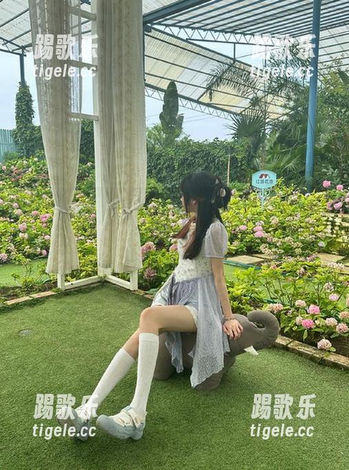 走进www.ylie51.com，开启永不迷路的社会观察模式，有点小刺激哦！