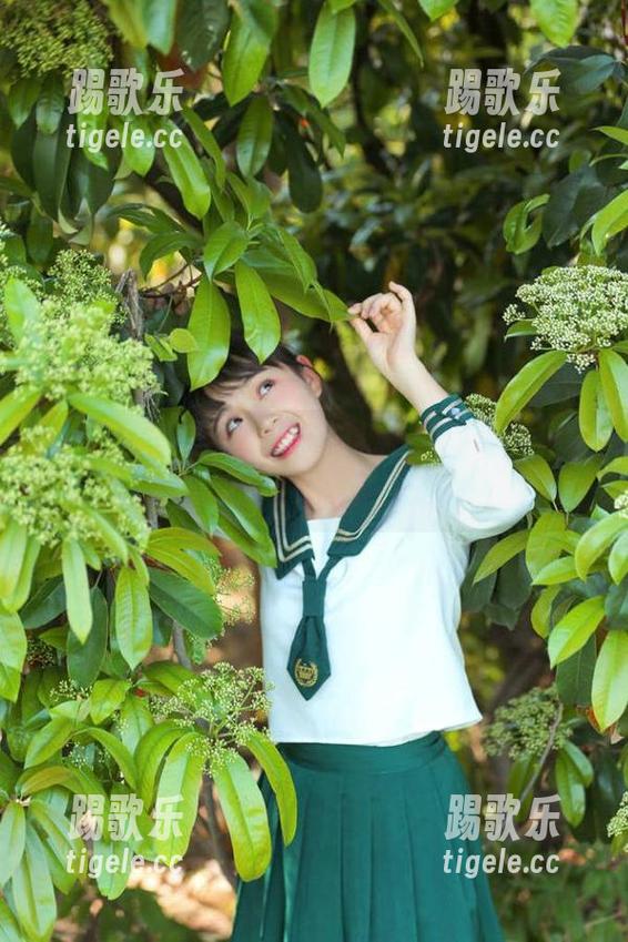 安卓手机保护壳测不测？看“51hl黑料”才是关键！