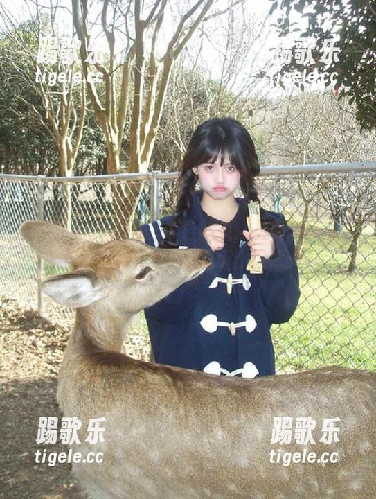 51今日吃瓜 51今日吃瓜:免费的明星黑料,如此之多,真的堪比剧本大戏