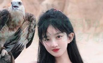 永久在91吃瓜中心，天天都有新花样？这瓜也太多了吧！