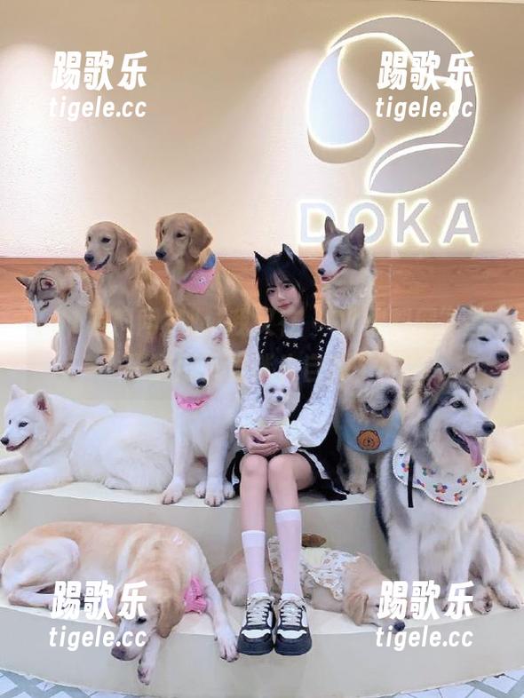 噢，我又在“91黑料网”的黑洞网页里迷失自我了！