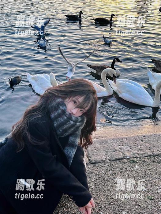 今天的心情，一半来自吃瓜网网站上的超级大瓜！