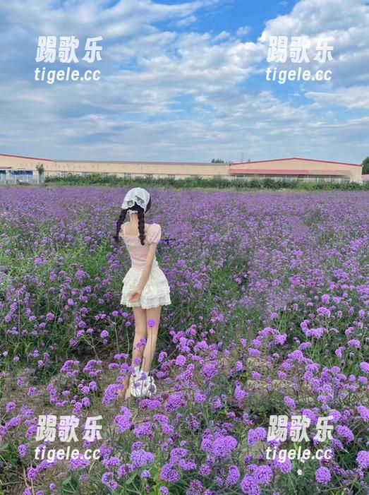 脑洞大开，黑料社2025免费会员兑换码让你吃瓜吃到饱！
